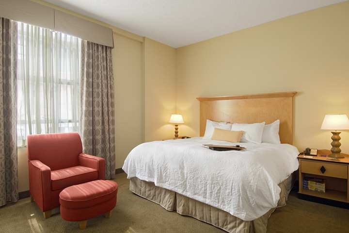 Hampton Inn & Suites Atlanta-Downtown Oda fotoğraf